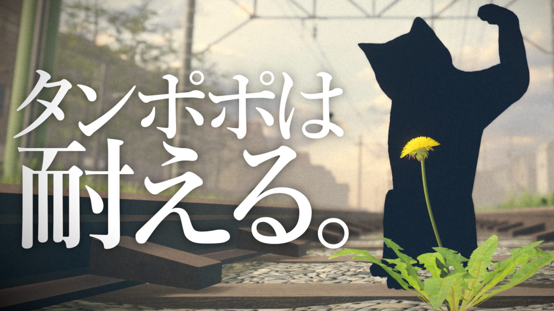 タンポポは耐える。